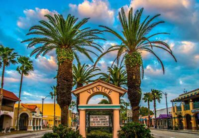 Venice Trees