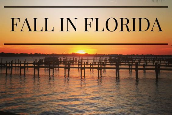 Fall in Florida