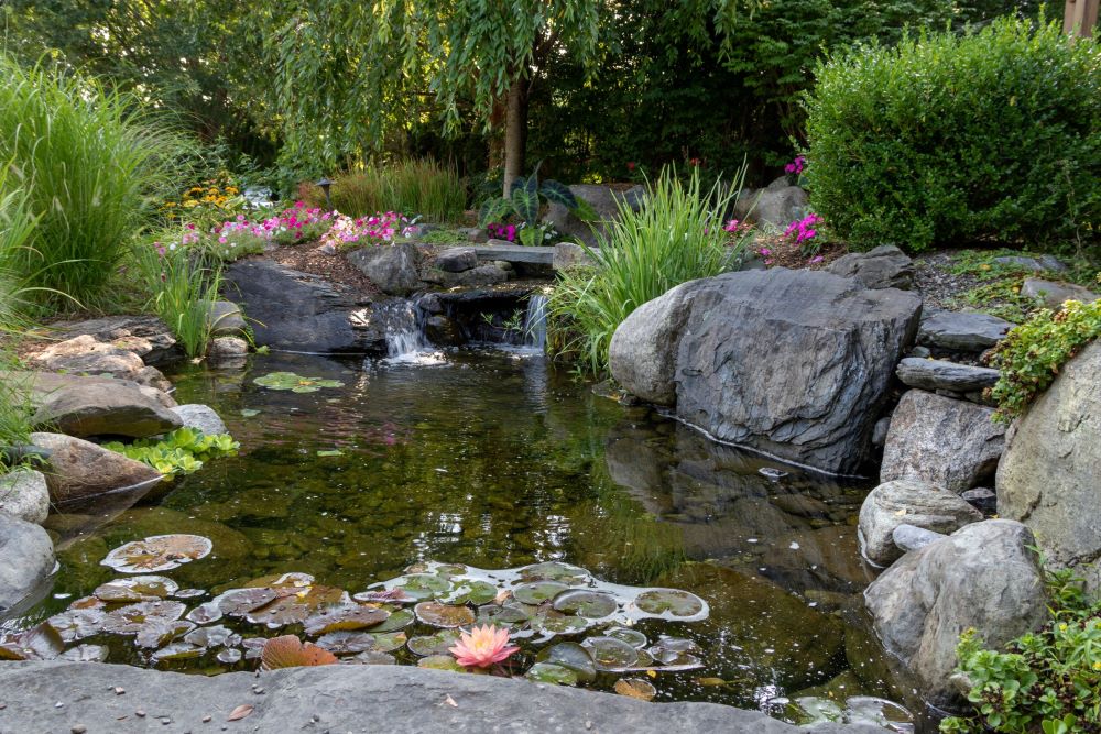 Beautiful, natural small pond